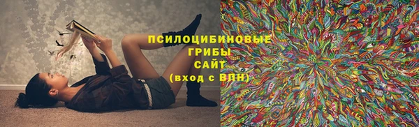 амф Абаза
