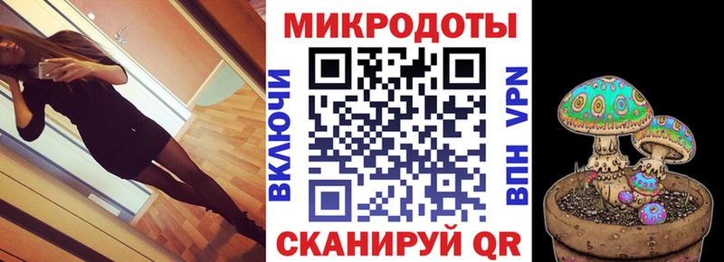 Галлюциногенные грибы Psilocybine cubensis Дербент