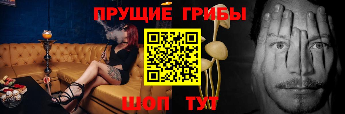 Псилоцибиновые грибы Magic Shrooms Дербент